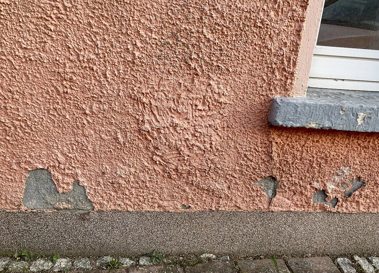 Damp patch and mould on a wall